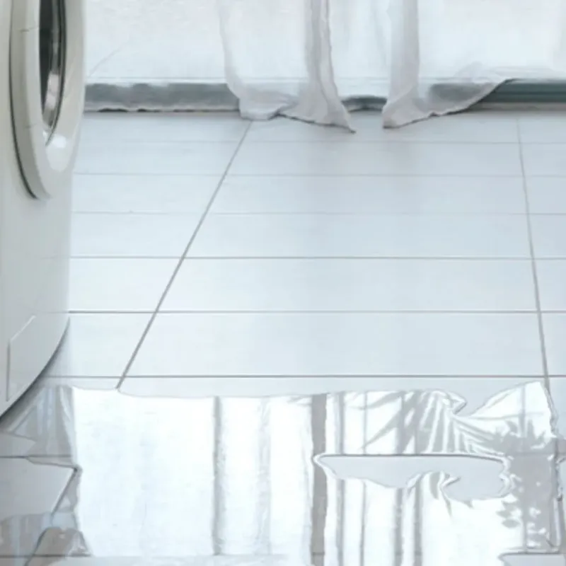 Appliance Leak Cleanup in Denmark, WI