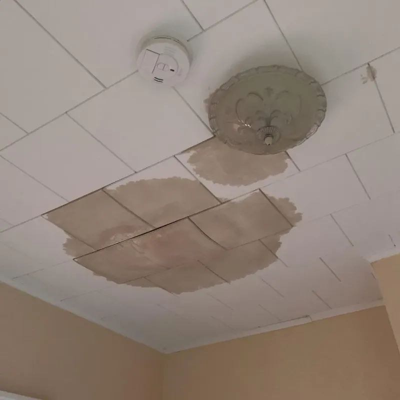 Ceiling Water Damage Repair in Denmark, WI