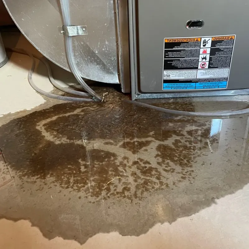 Pipe Burst and Leak Restoration in Denmark, WI